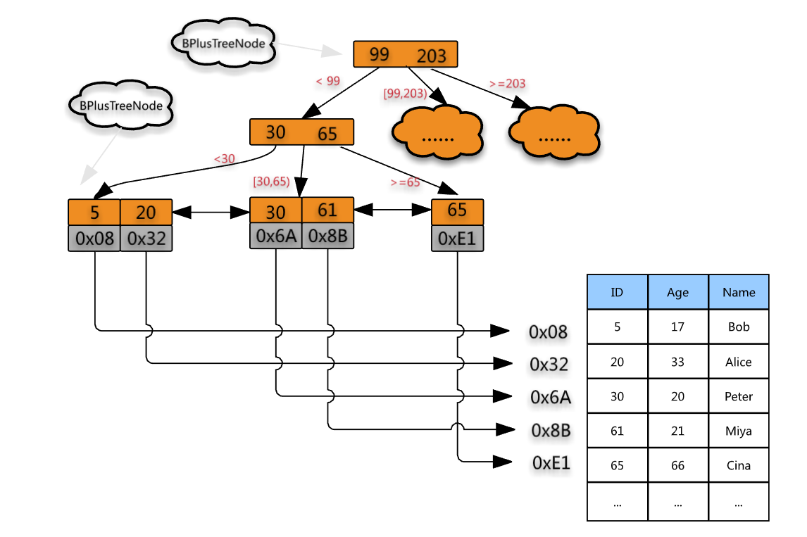 B+ tree